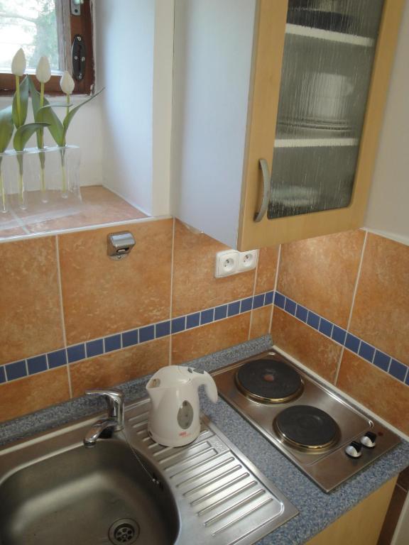 Pension Apartment Granit Praha Pokoj fotografie